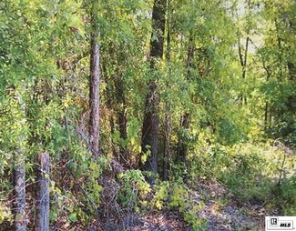 000 Sunshine Rd, Bonita, LA 71223
