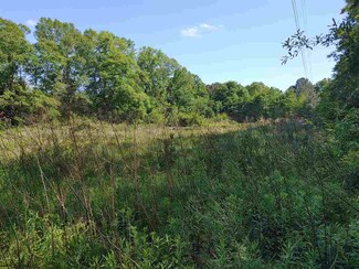 100 Bob Dr Unit 1, Walnut Grove, MS 39189
