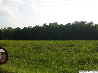 0 Highway 82 Unit 5 574833, Maplesville, AL 36750