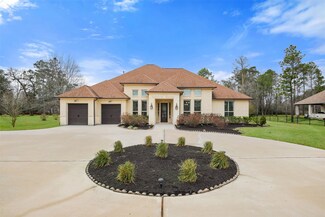 27523 Wishing Oak Landing, Spring, TX 77386