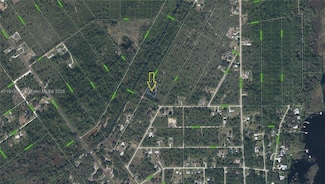 1403 Rutledge Ave, Lake Placid, FL 33852