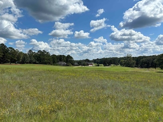 Lot 16 Camden Way Unit Southern Hills Plant, Hawkinsville, GA 31036