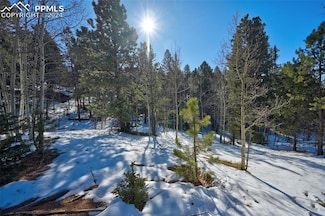 412 Princess Rd, Cripple Creek, CO 80813