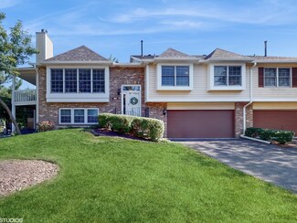 10025 Cambridge Dr, Mokena, IL 60448