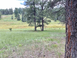 Lot 79 San Juan Dr, Angel Fire, NM 87710