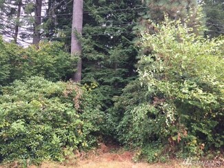 17829 433rd Ave SE, Gold Bar, WA 98251