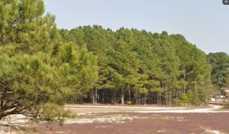 Parcel #3 Bob Lee Ln, Dunn, NC 28334