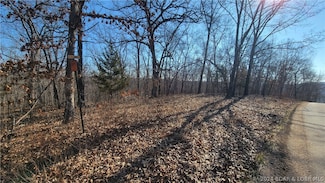 TBD Brown Bend Rd, Climax Springs, MO 65236