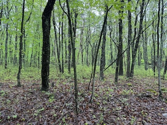 Lot 2 Sportsmans Trail, Jackson Township, PA 18360