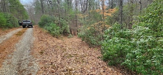 Lot 18 Grayfox Trail, Blairsville, GA 30512