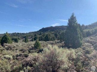 38 S 6 W Unit 13, Alton, UT 84710