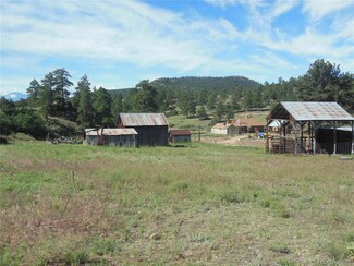 1651 Bird Point Dr, Cotopaxi, CO 81223