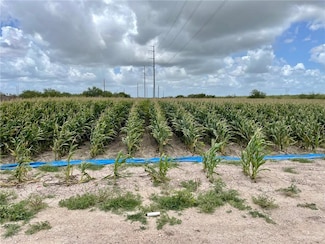 TBD N Gonzalez Rd, Progreso, TX 78579