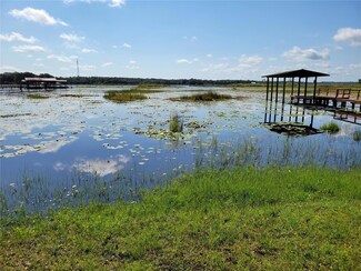 Lot 10 NE 242 Ave, Salt Springs, FL 32134