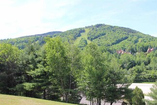 576 Francestown Rd Unit 28, Bennington, NH 03442