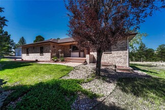 983 Amanda Pines Dr, Parker, CO 80138