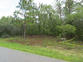 1315 N Mediterranean Way, Citrus Hills, FL 34453