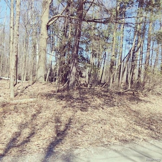 0 Schott Rd, Sand Beach Township, MI 48441