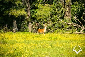 County Road 3253, Garrison, TX 75946