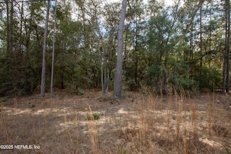 5619 Deerlodge St, Keystone Heights, FL 32656