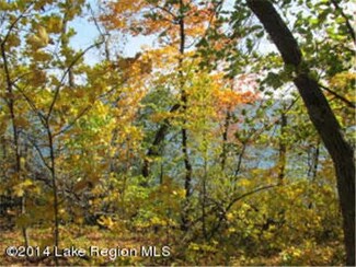 44XXX W Little McDonald Dr, Dent, MN 56528