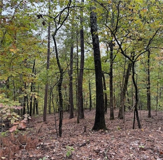 0 Potter Ln Unit 1326916, Bella Vista, AR 72715