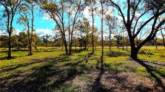 32002 Amberjack Dr, Richwood, TX 77515