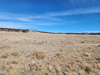 205 Cheyenne Trail, Hartsel, CO 80449