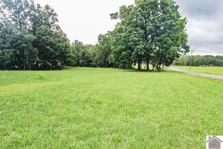 1333 Moors Camp Hwy, Benton, KY 42025