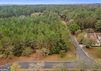 V/L 198 Plank Ln, St. Marys, GA 31558