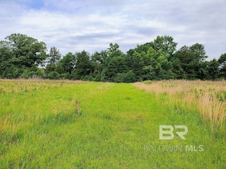 0000 County Road 69, Coffeeville, AL 36524
