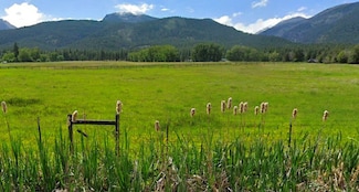 Nhn Sweeney Creek Loop, Florence, MT 59833