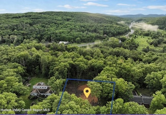 154 Forest Hill Dr, Kingston, NY 12401