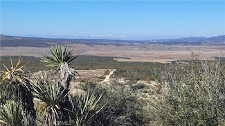 0 Dry Wash Rd Unit SW24188325, Anza, CA 92539