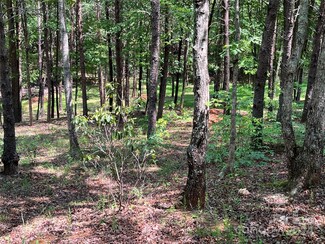 000 Mcdaniel Ct Unit 23, Lake Lure, NC 28746