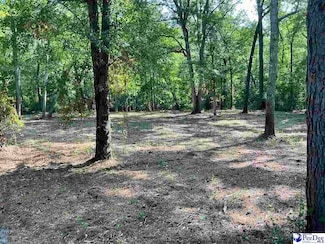 18 & 19 Point View Dr, Darlington, SC 29532