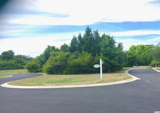 14 Tradewind Ct Unit DeBordieu Colony, Georgetown, SC 29440