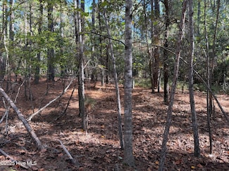 108 Carington Square, West End, NC 27376