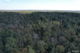 214 Wayne 503 B, Lowndes, MO 63951