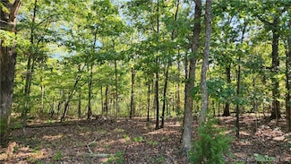 Lot 1063 Bittersweet Rd, Village of Four Seasons, MO 65049