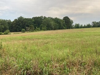 7951 Ebenezer Rd, Buena Vista, GA 31803