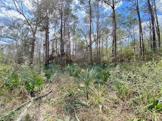 0 Scamper Ln Unit 32728742, Crosby, TX 77532