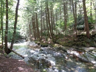 691 Lemery, Braintree, VT 05060