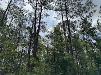 0 Havana Rd Unit MFRO6314610, Clermont, FL 34714