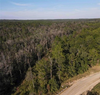 0 Kelly Trail Unit 7480518, Chunchula, AL 36521