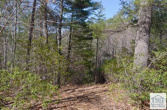 TBD Windchase Trail, Woolwine, VA 24185