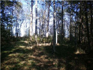 0 Dry Bayou Rd Unit 1247158, Rolling Fork, MS 39159