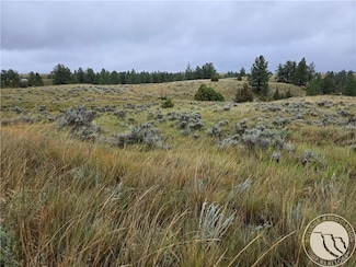 Parcel 16 Mountain View Rd, Molt, MT 59057