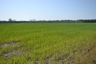 0 Georgia 169, Claxton, GA 30417