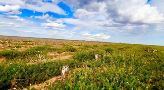 1826 County Road 1, Wilson, TX 79381